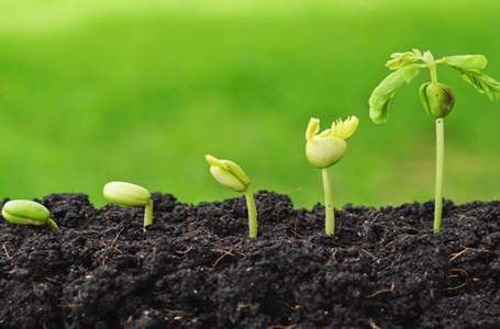 soil-test